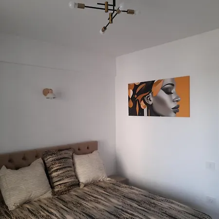 Camy Meraki Navodari