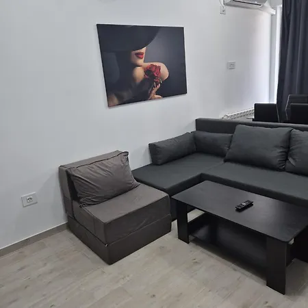 Camy Meraki * Navodari