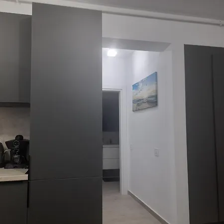 Camy Meraki * Navodari